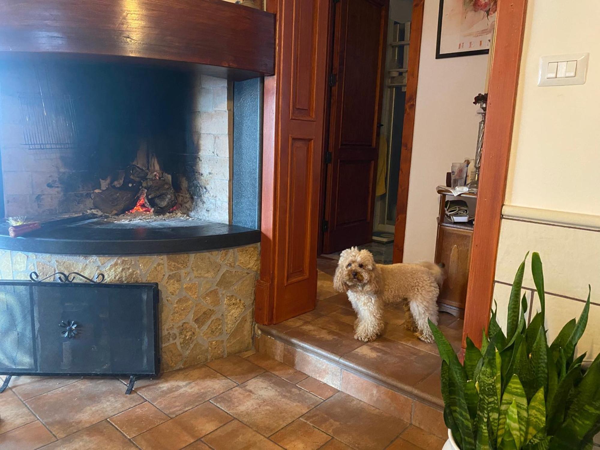 Masseria Tre Archi & Apulia Relais Gentiluomo Bilik gambar